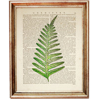 Leaf Greenery Dictionary Art Print