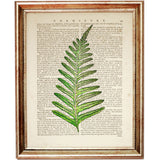 Leaf Greenery Dictionary Art Print