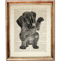 Black and white dog art - German Shorthaired Pointer dictionary style