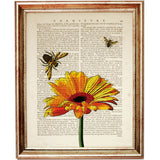 Gerbera Daisy and Bees Vintage