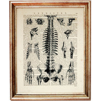 Set of 10 Anatomy Dictionary Art Prints - Anatomical Heart, Brain Artwork, Human Skull, Bones Poster