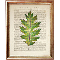 Fresh Green Leaf Decor Print