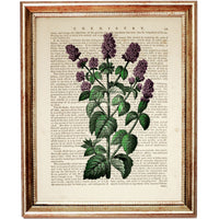 Mint Herb Vintage Dictionary Print