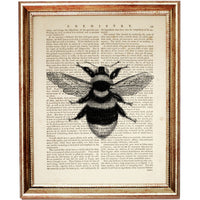 Black and White Bee Dictionary Art Print