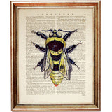 Botanical Bee Print from Dictionary Page