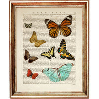 Butterfly Silhouettes Vintage Art