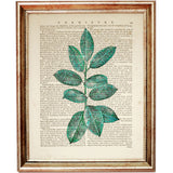 Elegant Leaf Greenery Art Print