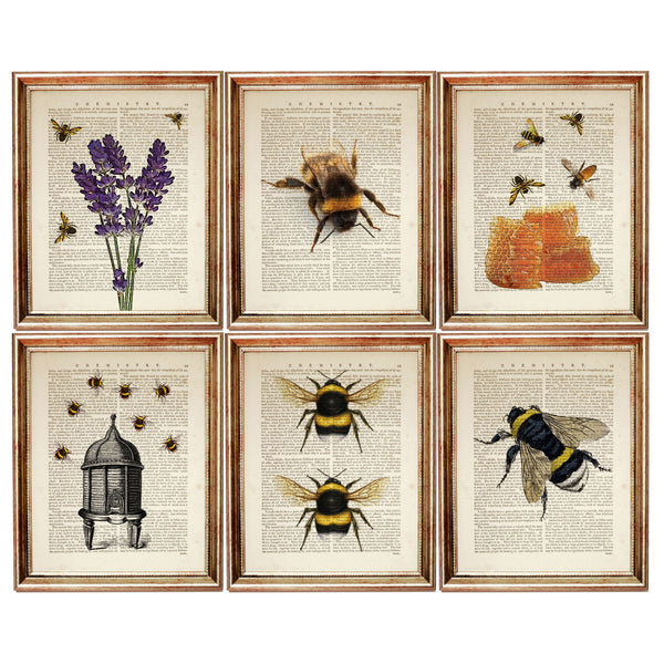 Bee Inspired Prints Collection of 6