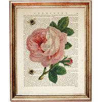 Garden Rose and Flying Bees Print