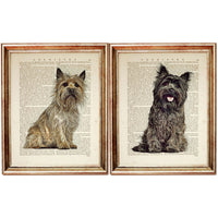 Cairn Terrier Dog Sitting Dictionary Art Print