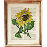 Botanical Sunflower Wall Decor