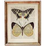 Elegant vintage dictionary art print with two butterflies