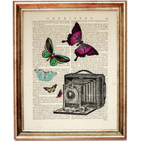 Antique Photo Camera with Butterfly Artwork