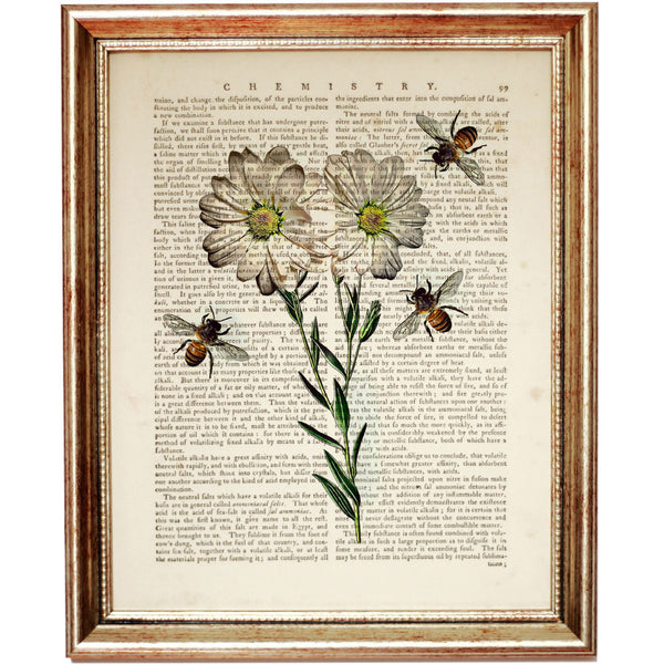 Botanical illustration print showcasing a white daisy and buzzing bees