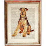 Airedale Terrier Dog Decor Dictionary Art Print