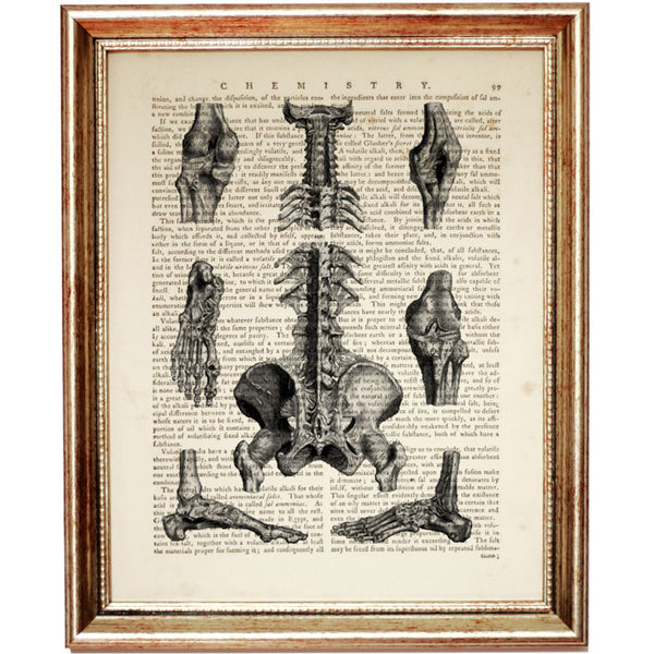 Anatomy Art Print for Medical Enthusiasts Dictionary Art Print 8x10