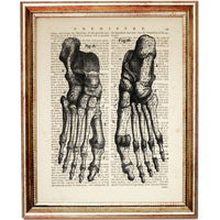 Black and White Dictionary Print of Human Feet Anatomy