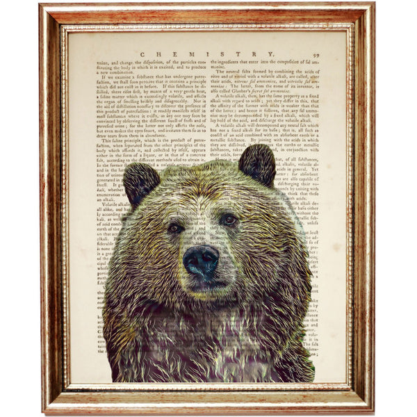 Bear Portrait Dictionary Art Print - Detailed and Unique Wall Decor