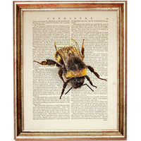 Bumble Bee Dictionary Art Print 8x10