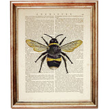 Bumble Bee Dictionary Art Print Poster 5x7