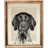 German Shorthaired Pointer Dictionary Art Print in Black and White