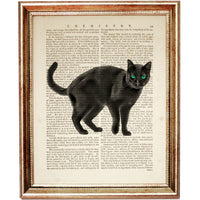 Mysterious Feline Art Print