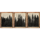 Set of 3 black and white forest dictionary art prints featuring misty pine trees, evergreen silhouettes and vintage woodland scenes on antique book pages.