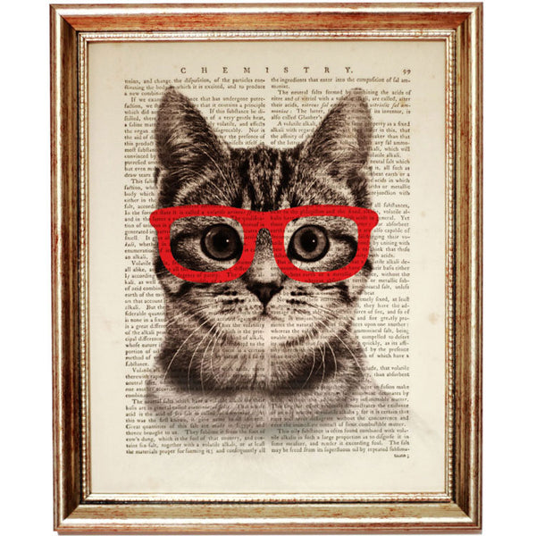 Cat Portrait with Red Sunglasses Home Decor