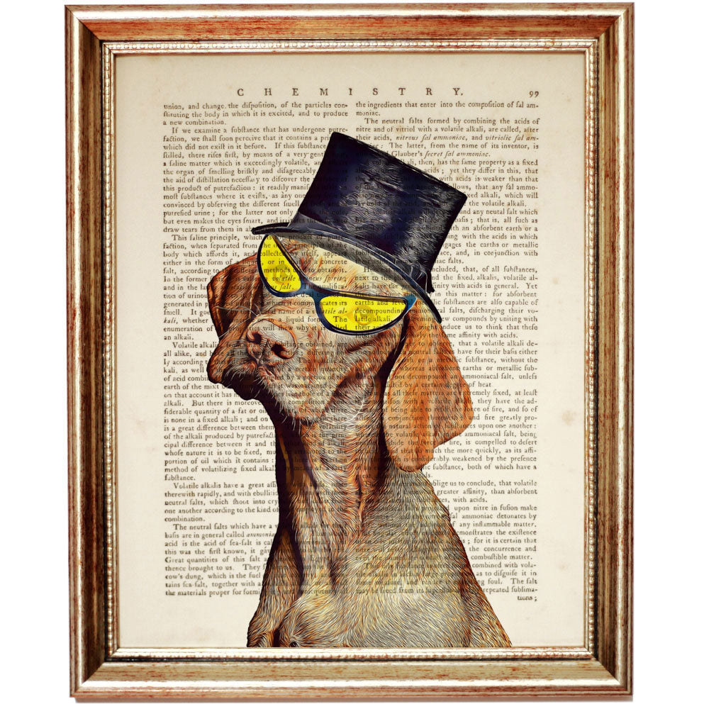 Dog top hat online