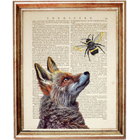 Dictionary Art Print of Fox Portrait with Flying Bee