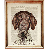 GSP Dog Portrait Dictionary Art Print