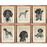 Collection of 6 Canine Dictionary Art Prints featuring Black and White German Shorthaired Pointer