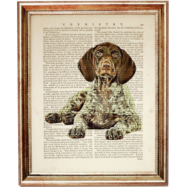 GSP sitting dog dictionary print