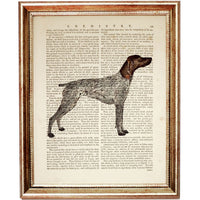 GSP Standing Dog Dictionary Print