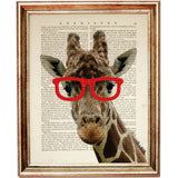 Giraffe Portrait with Red Sunglasses Dictionary Art Print