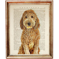 Goldendoodle Home Decor Print