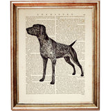 German Shorthaired Pointer Dictionary Art Prints Set, GSP Wall Art Set of 6