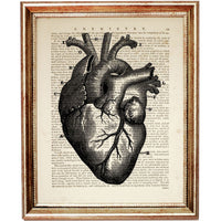 human heart anatomy art print on dictionary page