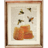 Bee-themed rustic honeycomb dictionary print for wall decor