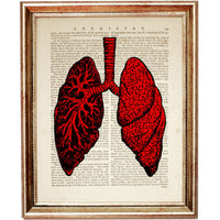 Detailed Red Lung Anatomy - Dictionary Art Print