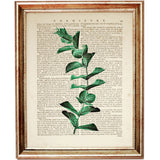 Nature-Inspired Leaf Dictionary Print