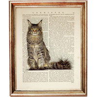 Maine Coon Cat Wall Decor Print - Charming Dictionary