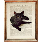 Minimalist Black Cat Print on Dictionary Page