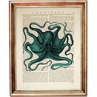 Octopus Sea Life Art Prints Set of 4, Turquoise Ocean Wall Decor