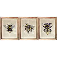 Bumblebee Set of 3 Dictionary Art Print