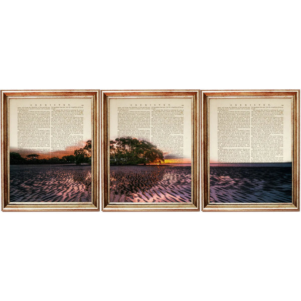 Set of 3 Nature Landscape Art Prints, Desert Vintage Trees, Sunset Poster