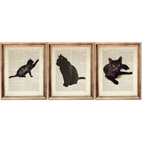 Set of three black cat illustrations featuring playful and relaxed poses, printed on antique book pages