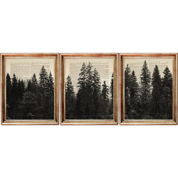 Set of three vintage-style forest prints featuring tall pine trees and misty woodlands on antique book pages