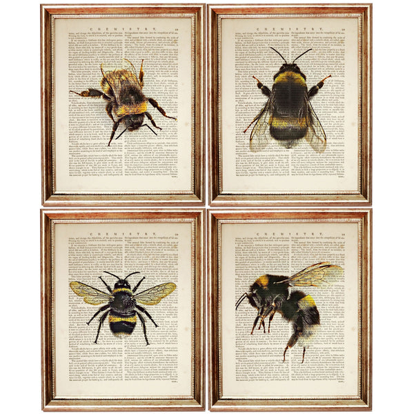 Set of 4 Bumble Bee Dictionary Art Prints