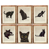 set of 6 prints Black Cat Home Decor Print